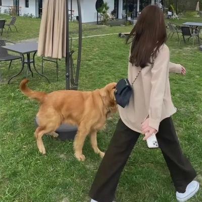 亲爱的自己